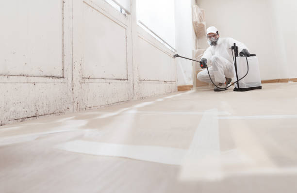 24/7 Emergency Mold Remediation experts in Paintsville, KY