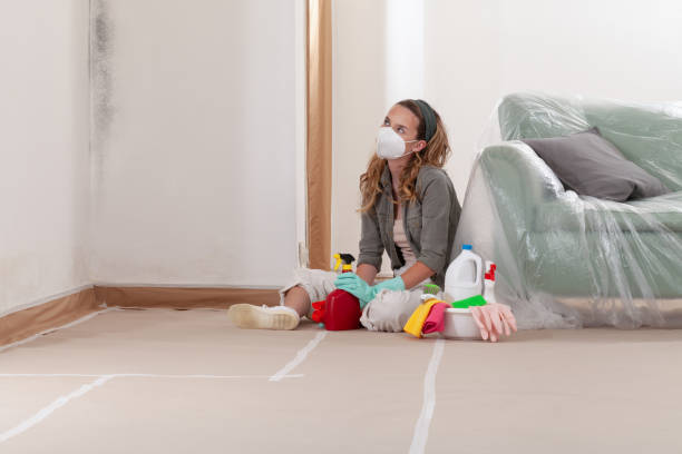 Reliable Mold Remediation contractor in Paintsville, KY by 24 Hour Mold Removal